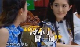 小刀爆料谢娜视频大全,小刀爆料背后的精彩瞬间